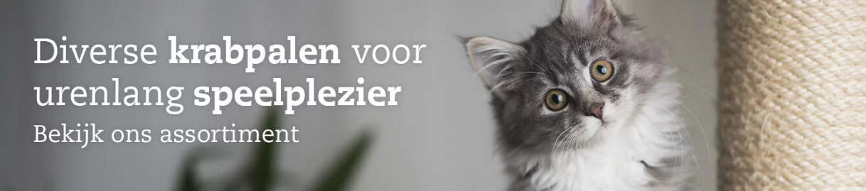 Dierenartikelen Winkel -Dierenartikelen Winkel K3BQ3L1JWV8FG6PRDKJ